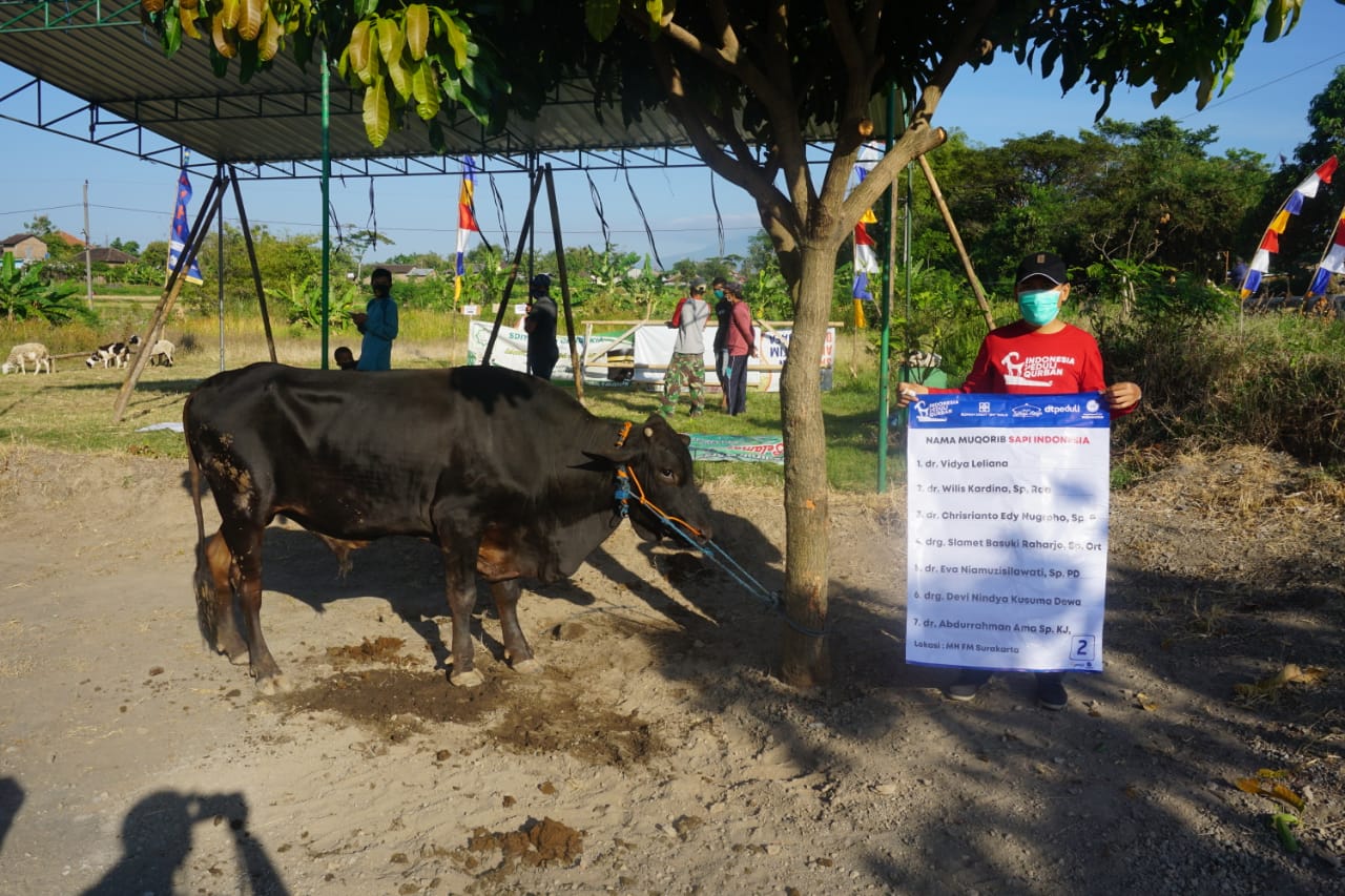 Qurban Via Cabang DT Peduli Solo