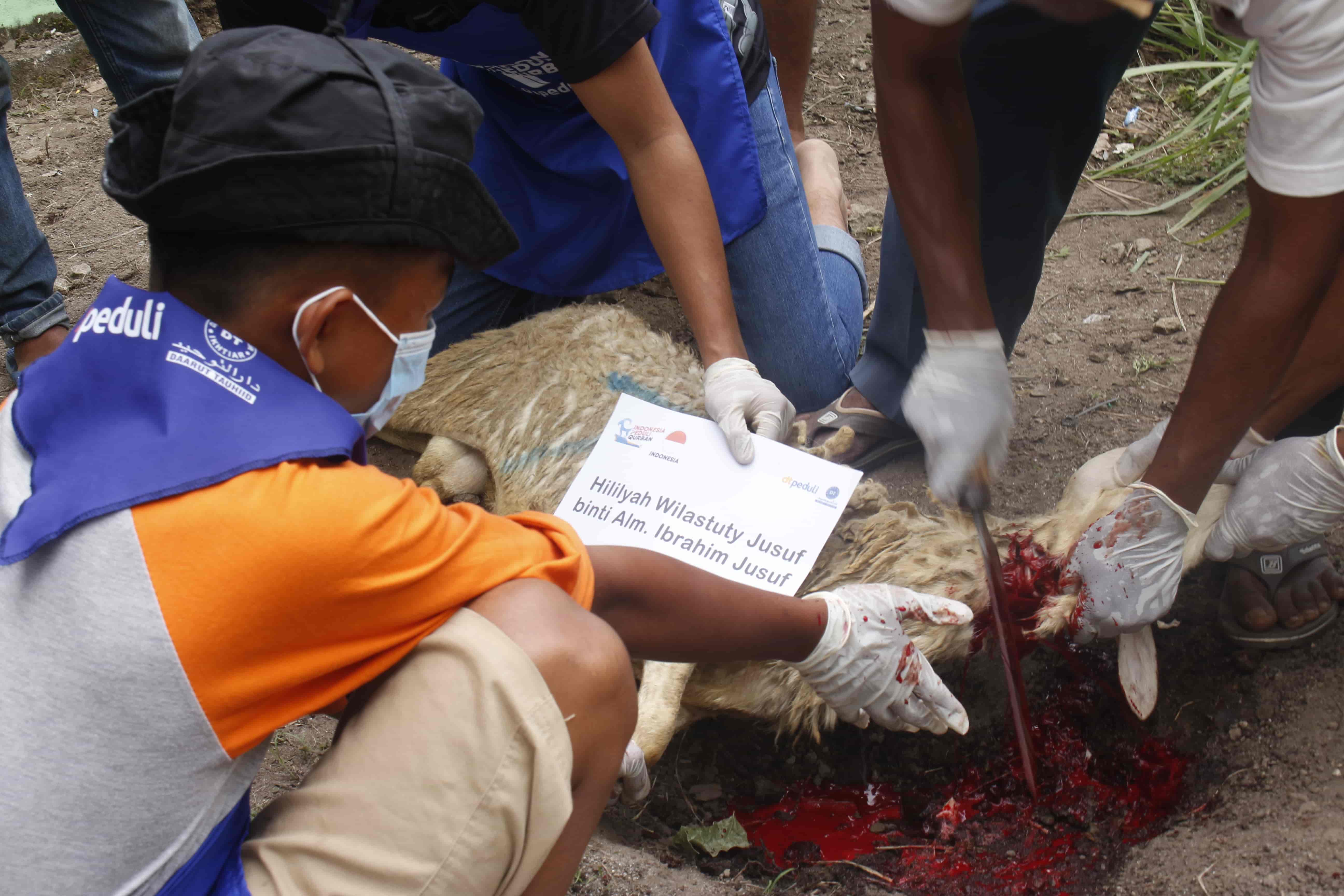 Qurban Via Cabang DT Peduli Sumatera Utara