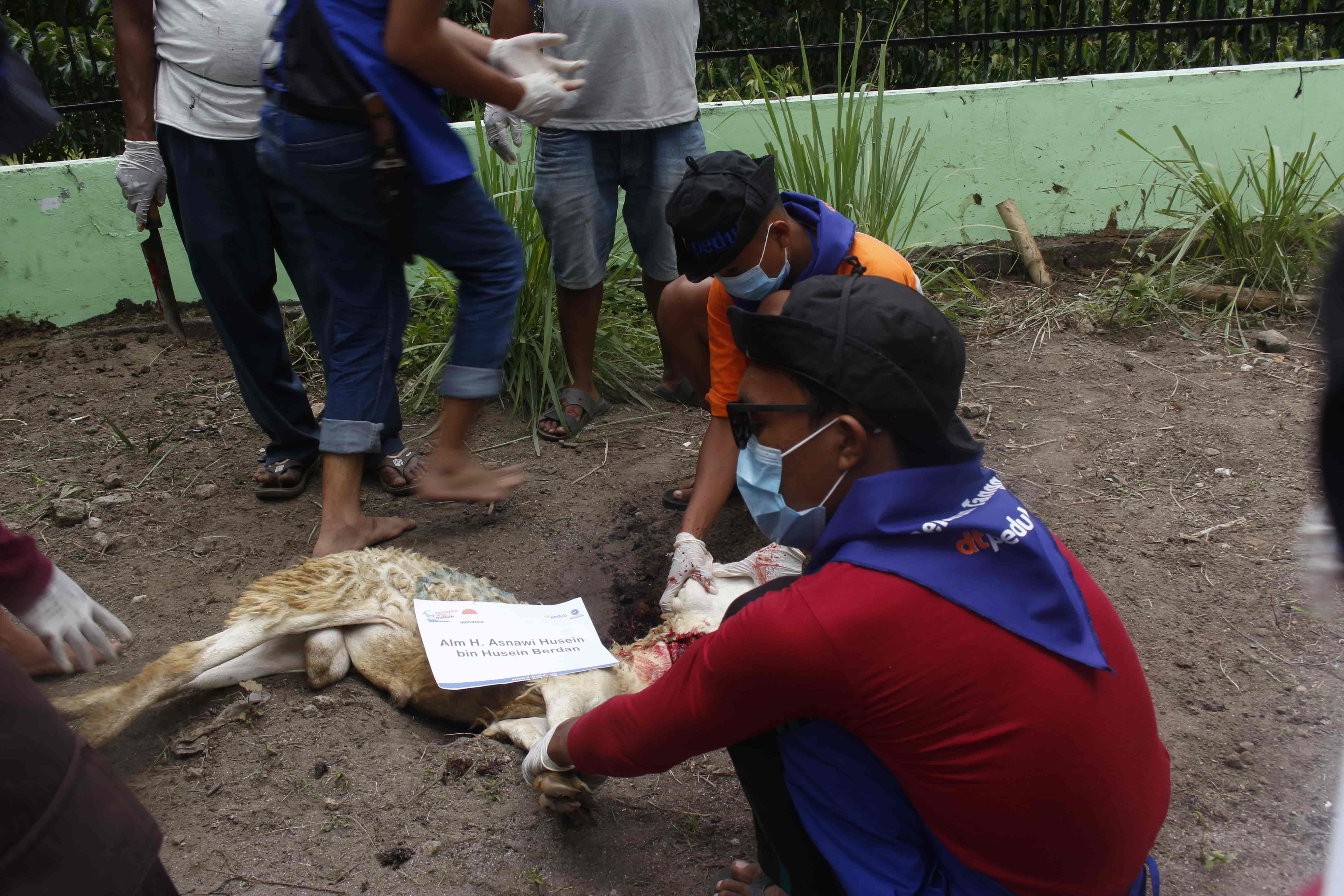 Qurban Via Cabang DT Peduli Sumatera Utara